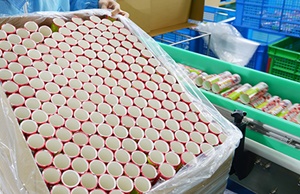 市面上紙罐包裝價格波動大嗎？
